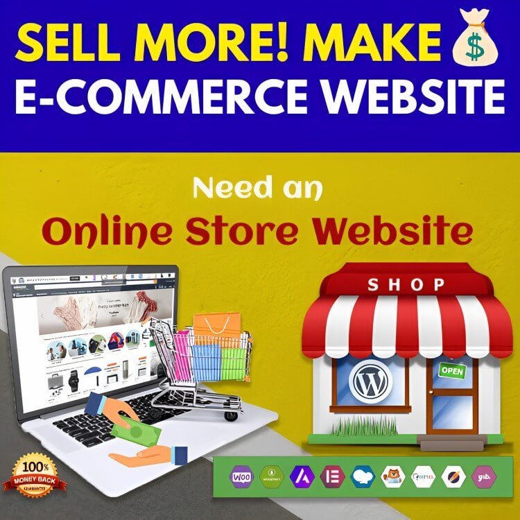 Professional ecommerce website design